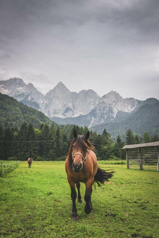 Klass 210 Kranjska Gora Zewnętrze zdjęcie