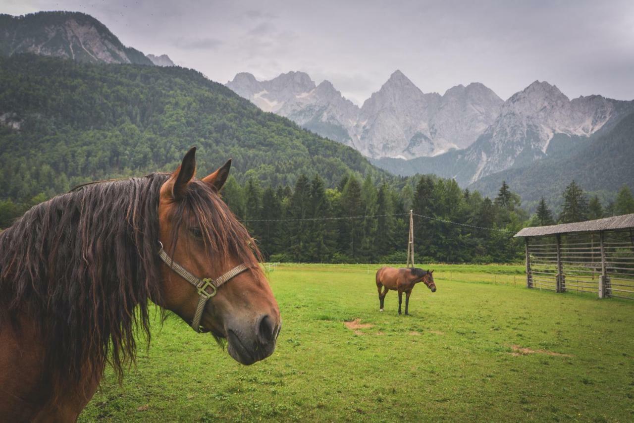 Klass 210 Kranjska Gora Zewnętrze zdjęcie